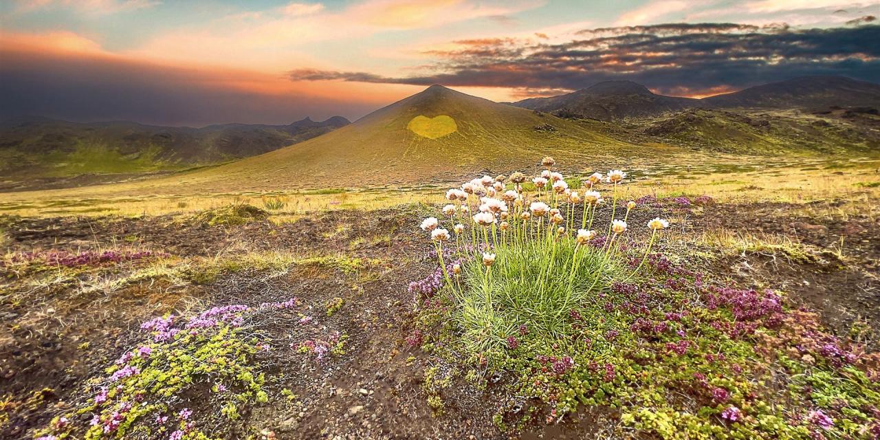 Landschaft in Island mit grünem Hügel und einem von Isländern eingepfanztes Herz im Gras auf dem Hügel