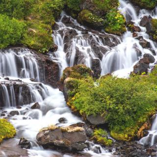 viele kleine Wasserfälle in grüner Landschaft