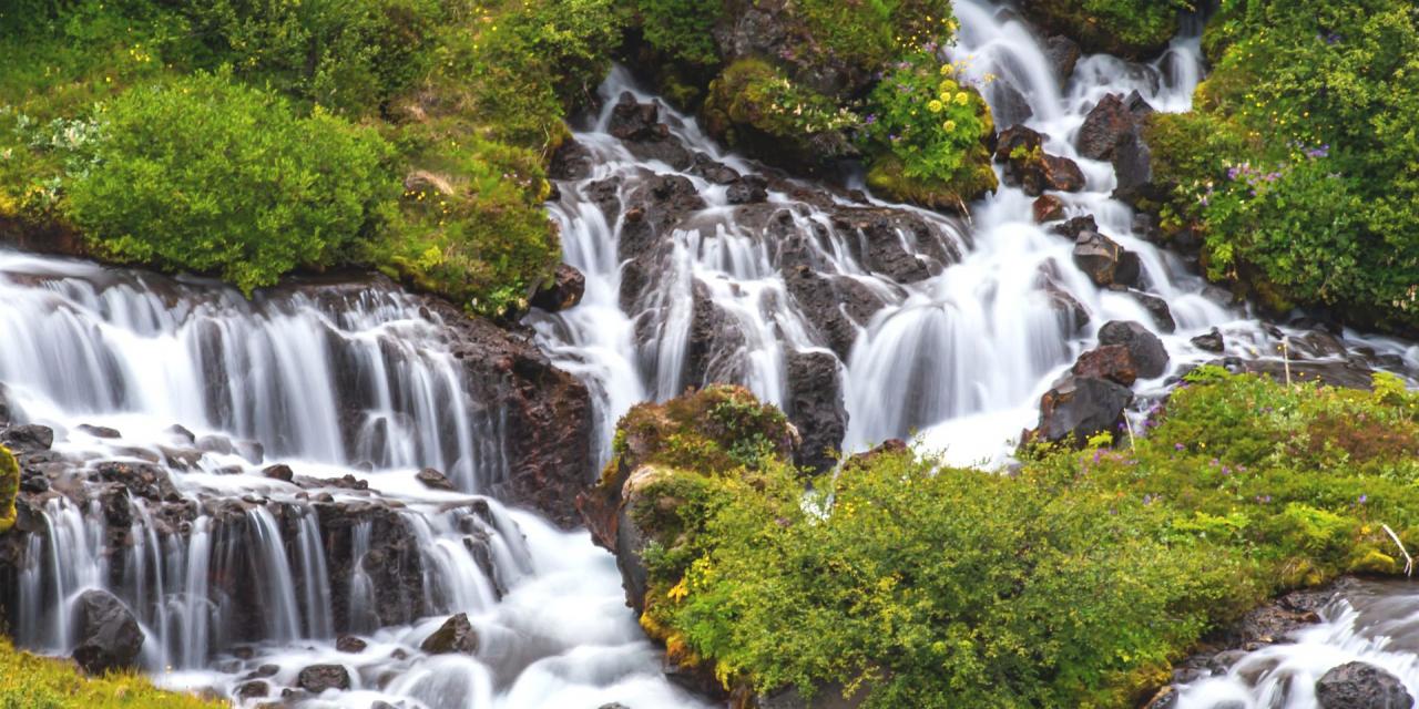 viele kleine Wasserfälle in grüner Landschaft